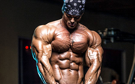 supplement